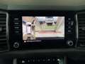 Skoda Kodiaq 4x4 SCOUT TDI DSG Blau - thumbnail 12