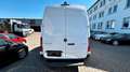 Mercedes-Benz Sprinter Hochraum-Kasten 317 CDI RWD Weiß - thumbnail 5