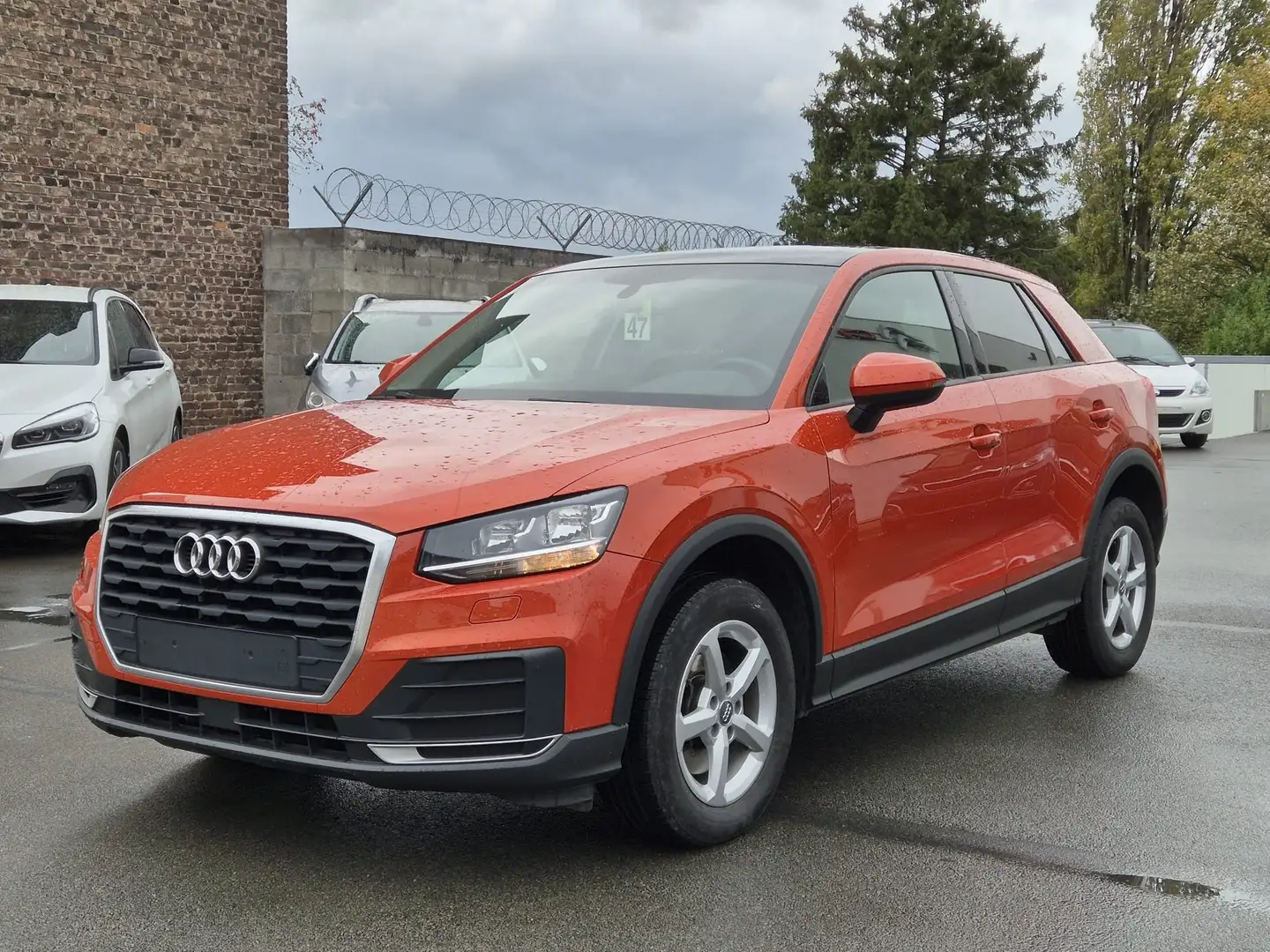 Audi Q2 Q2 1.0 TFSI Oranje - 1