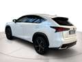 Lexus NX 300h 2.5 Premium 4wd cvt Blanc - thumbnail 26