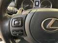 Lexus NX 300h 2.5 Premium 4wd cvt Wit - thumbnail 29
