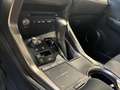 Lexus NX 300h 2.5 Premium 4wd cvt Weiß - thumbnail 15