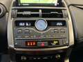 Lexus NX 300h 2.5 Premium 4wd cvt Weiß - thumbnail 14