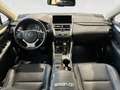 Lexus NX 300h 2.5 Premium 4wd cvt Weiß - thumbnail 8
