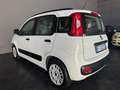 Fiat Panda 1.2 Lounge 69cv ADATTA A NEOPATENTATI - thumbnail 5