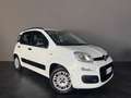 Fiat Panda 1.2 Lounge 69cv ADATTA A NEOPATENTATI - thumbnail 1