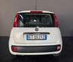 Fiat Panda 1.2 Lounge 69cv ADATTA A NEOPATENTATI - thumbnail 4