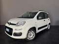 Fiat Panda 1.2 Lounge 69cv ADATTA A NEOPATENTATI - thumbnail 2