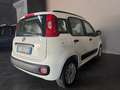 Fiat Panda 1.2 Lounge 69cv ADATTA A NEOPATENTATI - thumbnail 3