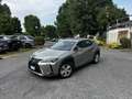 Lexus UX 250h business - thumbnail 6