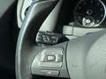Volkswagen Tiguan Sky TSI BMT Weiß - thumbnail 15