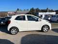 Kia Picanto Edition 7  Klima Sitzheizung  1-Hand Weiß - thumbnail 4