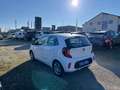 Kia Picanto Edition 7  Klima Sitzheizung  1-Hand Weiß - thumbnail 6