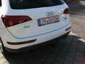 Audi Q5 2.0 TFSI (132 kW) quattro Navi Xenon Leder AHK Weiß - thumbnail 6