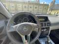 Mercedes-Benz E 220 E 220 CDI BlueEfficiency Avantgarde Niebieski - thumbnail 2