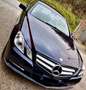 Mercedes-Benz E 220 E 220 CDI BlueEfficiency Avantgarde plava - thumbnail 13