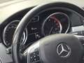 Mercedes-Benz ML 250 Alb - thumbnail 18