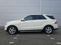 Mercedes-Benz ML 250 Alb - thumbnail 8