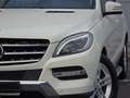 Mercedes-Benz ML 250 Alb - thumbnail 7