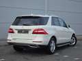 Mercedes-Benz ML 250 Alb - thumbnail 11