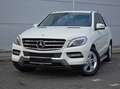Mercedes-Benz ML 250 Alb - thumbnail 5