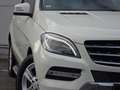 Mercedes-Benz ML 250 Alb - thumbnail 2