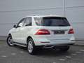 Mercedes-Benz ML 250 Alb - thumbnail 9