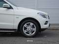Mercedes-Benz ML 250 Alb - thumbnail 13