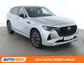 Mazda CX-60 2.5 e-Skyactiv Plug-in Hybrid Homura AWD Grau - thumbnail 8