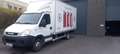 Iveco Daily 3000cm³ 107kW Weiß - thumbnail 2