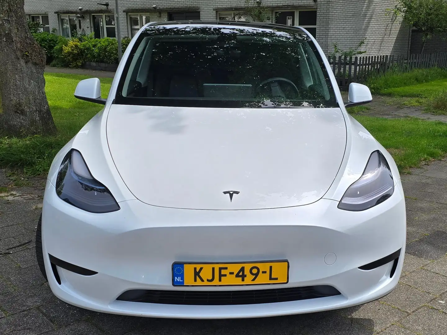 tesla model y