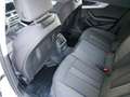 Audi A4 2,0 TDI quattro Sport S-tronic Weiß - thumbnail 24