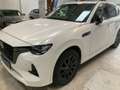 Mazda CX-60 2.5 e-Skyactiv Plug-in Hybrid Homura AWD - thumbnail 1