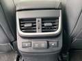 Subaru OUTBACK 2.5i Platinum Lineartr. 22 Leder Schwarz Grey - thumbnail 11