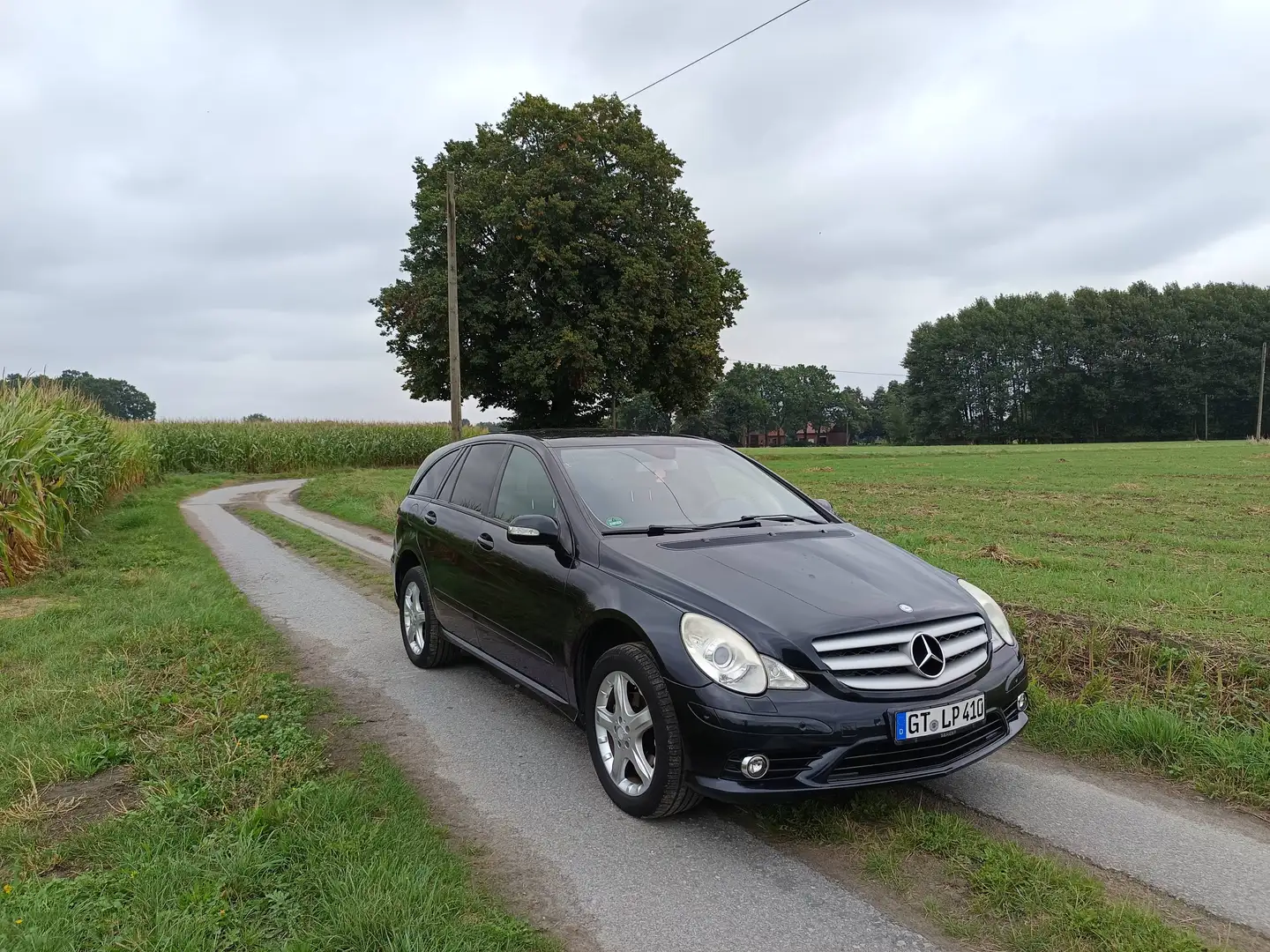 Mercedes-Benz R 280 R-Klasse R280 TÜV 02/28 AMG-Paket 6-Sitzer - 1
