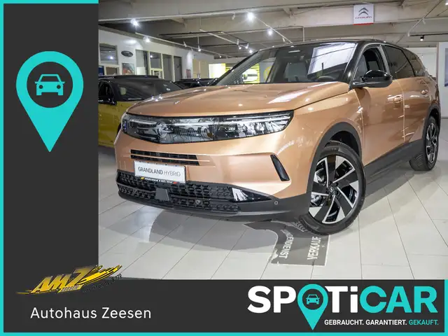 Opel Grandland main image
