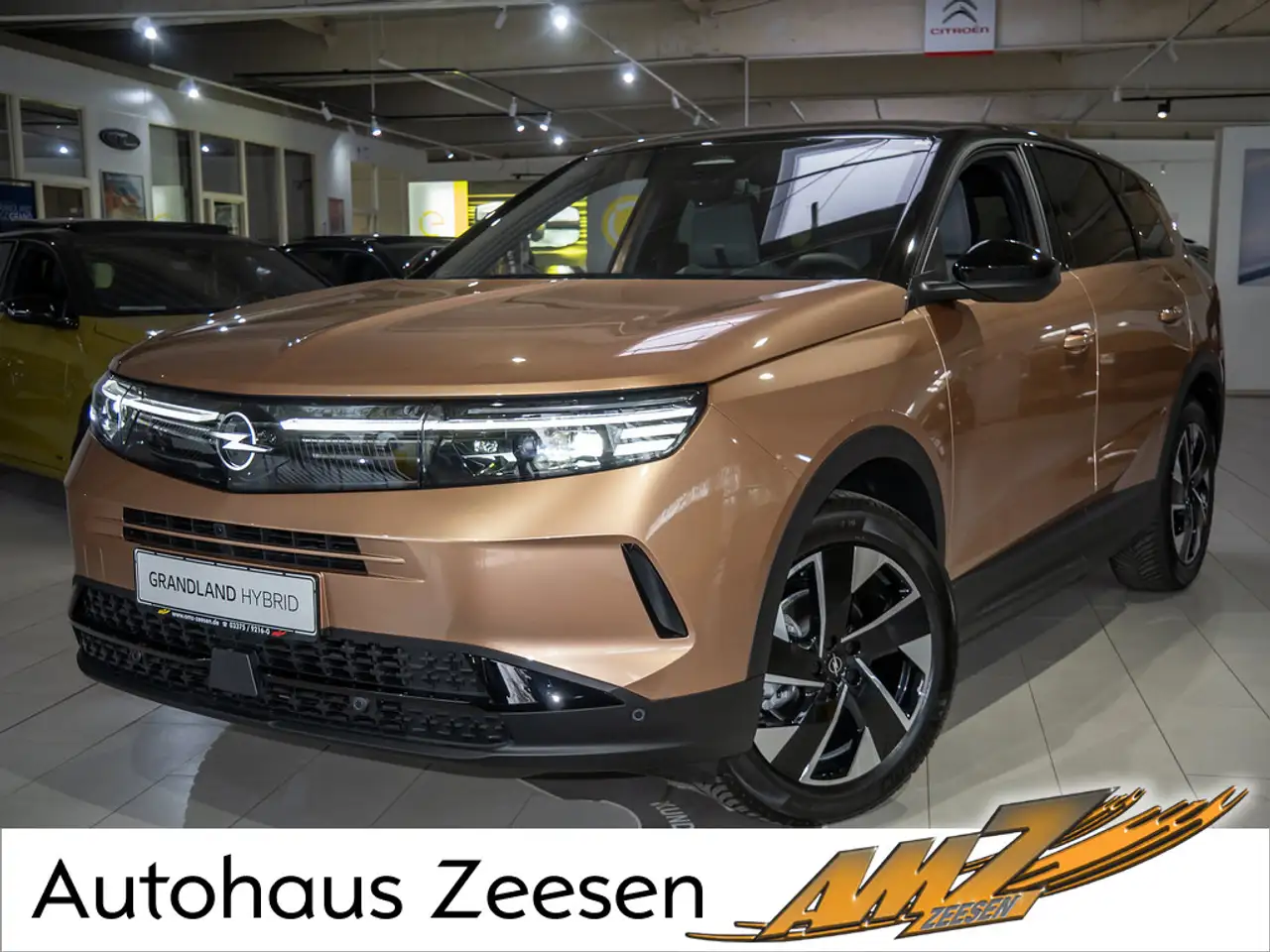 Opel Grandland GS Hybrid 145 LED NAVI HUD 360° AHK 5