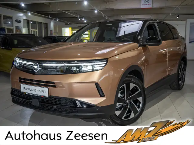 Opel Grandland view 5