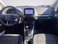 Ford EcoSport 1.0 ecoboost Titanium 100cv Grigio - thumbnail 5
