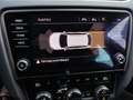 Skoda Octavia Style Limited TDI DSG Gris - thumbnail 19