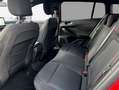 Ford Focus Turnier 1.0 EcoBoost Hybrid ST-LINE 92 kW, 5 Rouge - thumbnail 7