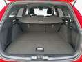 Ford Focus Turnier 1.0 EcoBoost Hybrid ST-LINE 92 kW, 5 Rouge - thumbnail 5