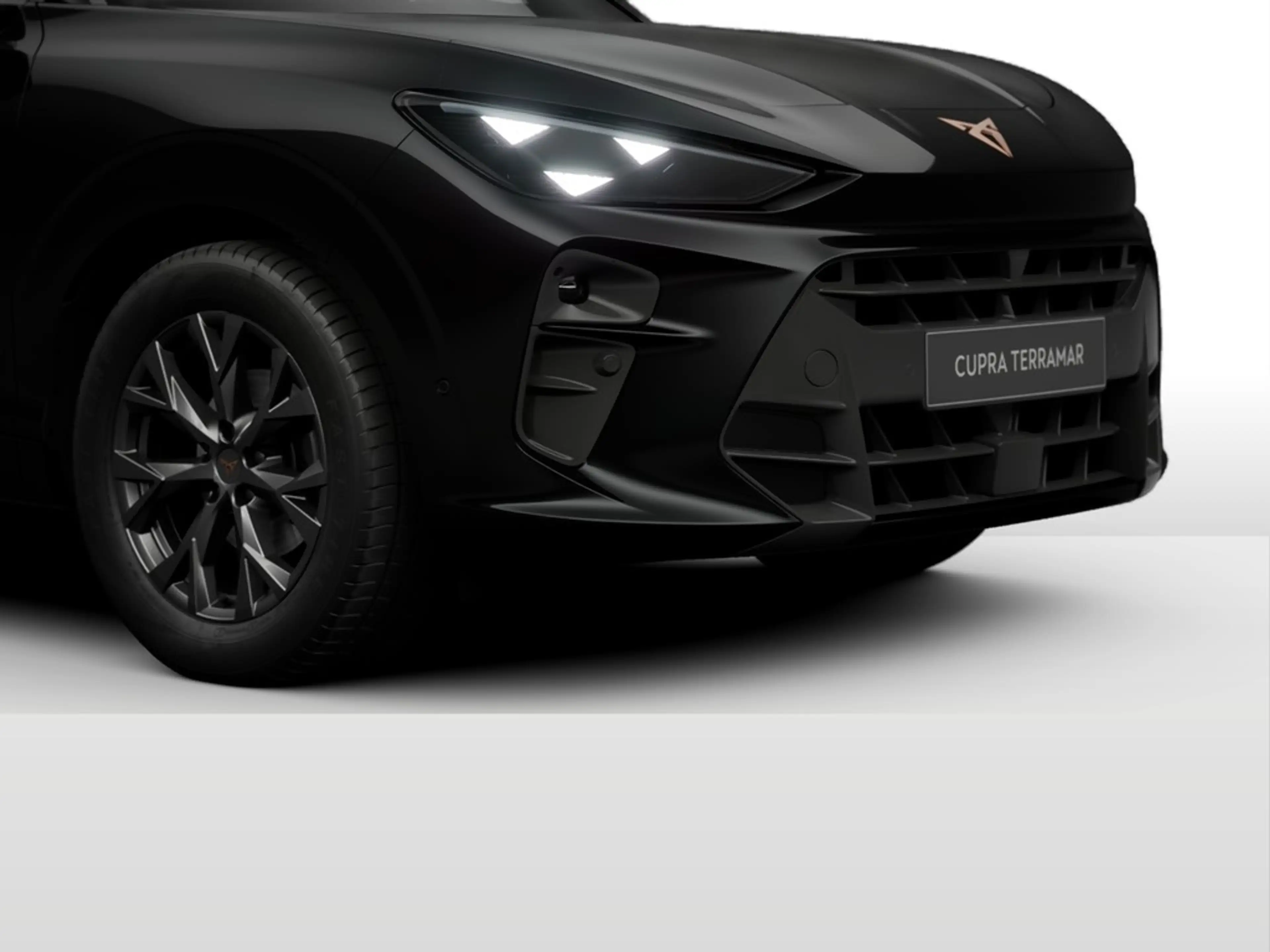 CUPRA Terramar 1.5 eTSI DSG MATRIX*VIRTUAL*HEADUP*NAVI*ACC*PAR... — photo 9