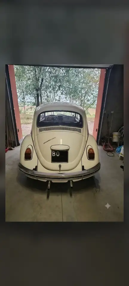 Volkswagen Maggiolino 1.2, foto 1