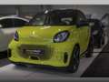 smart forFour EQ 60kWed passion SHZ Pano PDC+Kamera Zielony - thumbnail 2