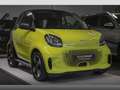 smart forFour EQ 60kWed passion SHZ Pano PDC+Kamera Zielony - thumbnail 10