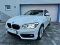 BMW 116 116i Sport Line Weiß - thumbnail 2