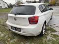 BMW 116 116 i ~Motorschaden~ Weiß - thumbnail 4