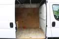 Fiat Ducato 130 Multijet L2H2 Navi/Kamera/DAB/AHK Weiß - thumbnail 5