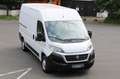 Fiat Ducato 130 Multijet L2H2 Navi/Kamera/DAB/AHK Weiß - thumbnail 1